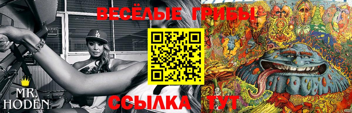 Котовск  Псилоцибиновые грибы Psilocybine cubensis  Вход с VPN 